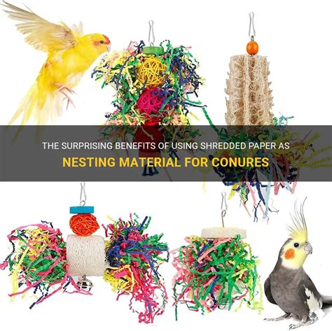 nesting material for conures